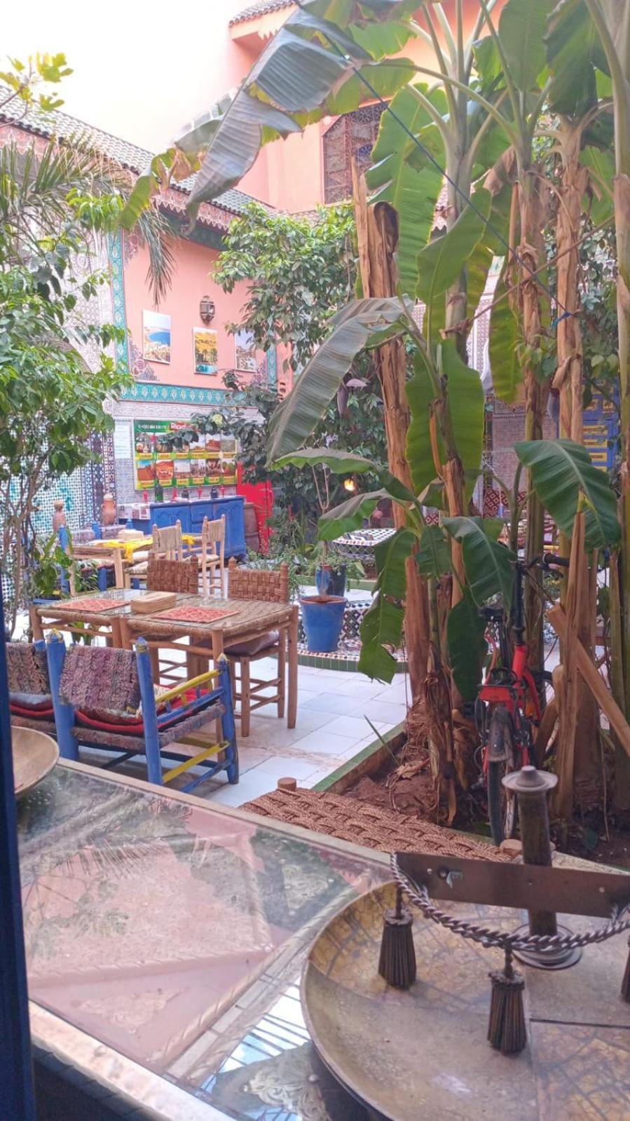 Riad Carole - Perfect For Families & Groups 마라케시 외부 사진
